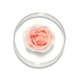 Lancome Lancôme - Confort Tonique 400ml Lancôme Confort Tonique 400ml 4 Lancome Lancôme - Confort Tonique 400ml Lancôme Confort Tonique 400ml – Image 2