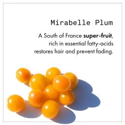 Fekkai - Technician Color Shampoo Ecv Fekkai Technician Color Shampoo Ecv 5 Fekkai - Technician Color Shampoo Ecv Fekkai Technician Color Shampoo Ecv â Image 3