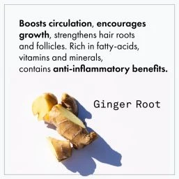 Fekkai - Apple Cider Detox Shampoo 250ml Fekkai Apple Cider Detox Shampoo 250ml 5 Fekkai - Apple Cider Detox Shampoo 250ml Fekkai Apple Cider Detox Shampoo 250ml – Image 3