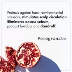 Fekkai - Apple Cider Detox Shampoo 250ml Fekkai Apple Cider Detox Shampoo 250ml 11 Fekkai - Apple Cider Detox Shampoo 250ml Fekkai Apple Cider Detox Shampoo 250ml -Liquor Magasin 5224944 5 en GB