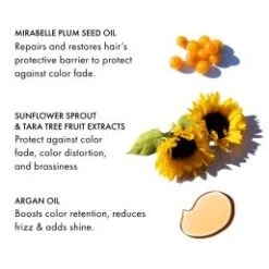 Fekkai - Technician Color Treatment Mask 150ml Fekkai Technician Color Treatment Mask 150ml -Liquor Magasin 5337628 3 en GB