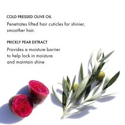 Fekkai - Brilliant Gloss Multi-tasker Perfecting Crème 120ml Fekkai Brilliant Gloss Multi-tasker Perfecting Crème 120ml 5 Fekkai - Brilliant Gloss Multi-tasker Perfecting Crème 120ml Fekkai Brilliant Gloss Multi-tasker Perfecting Crème 120ml – Image 3