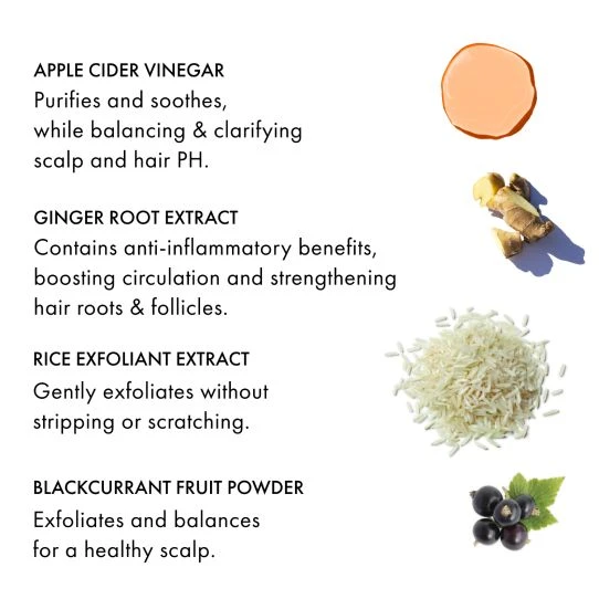 Fekkai - Apple Cider Detox Scrub Exfoliant 220ml Fekkai Apple Cider Detox Scrub Exfoliant 220ml 6 Fekkai - Apple Cider Detox Scrub Exfoliant 220ml Fekkai Apple Cider Detox Scrub Exfoliant 220ml – Image 4