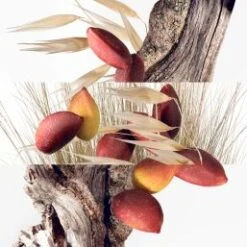 Hermès - Jardins Collection Travel Set 4x15ml Eau De Toilette Spray Hermès Jardins Collection Travel Set 4x15ml Eau De Toilette Spray -Liquor Magasin 5449390 3 en GB