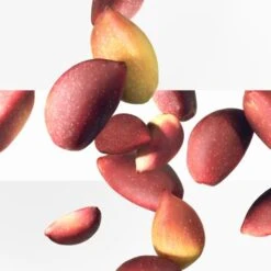 Hermès - Jardins Collection Travel Set 4x15ml Eau De Toilette Spray Hermès Jardins Collection Travel Set 4x15ml Eau De Toilette Spray -Liquor Magasin 5449390 4 en GB